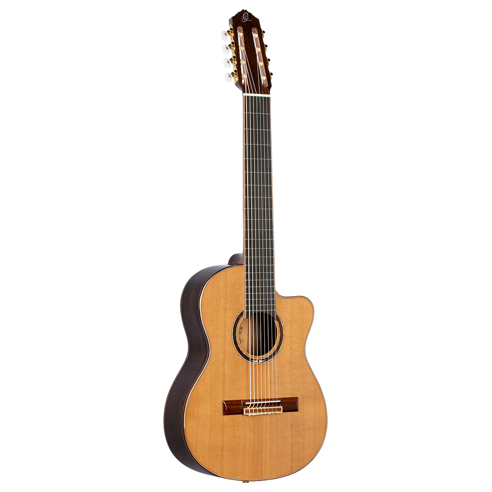 8 string flamenco guitar