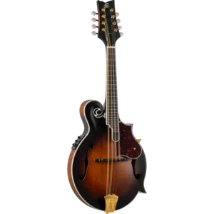 Geordie Mandoliniさん専用 IMG_2912.jpeg
