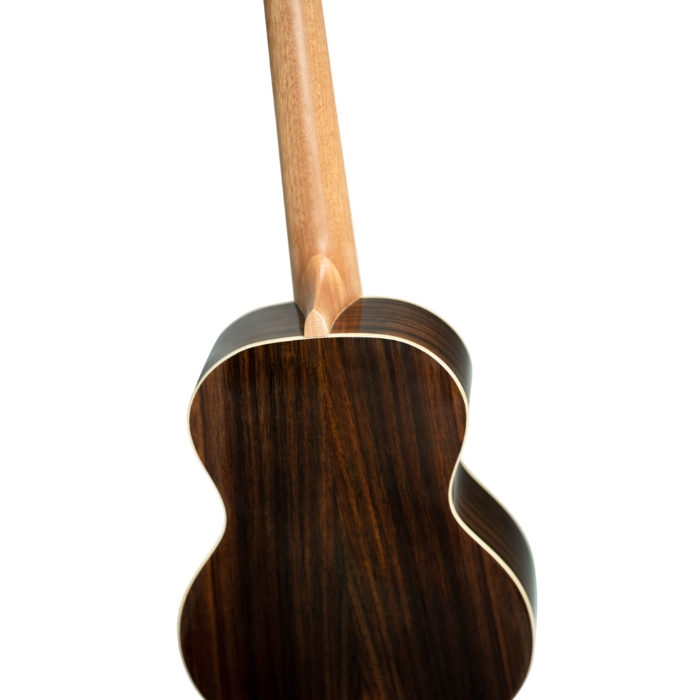 Not available - RUGH-PLT - Ortega Guitars - Modern Nylon String Guitars ...