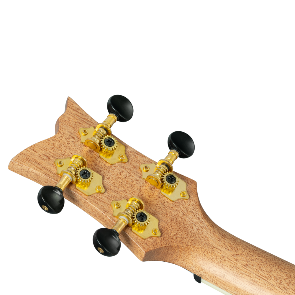 Not available - RUGH-PLT - Ortega Guitars - Modern Nylon String Guitars ...
