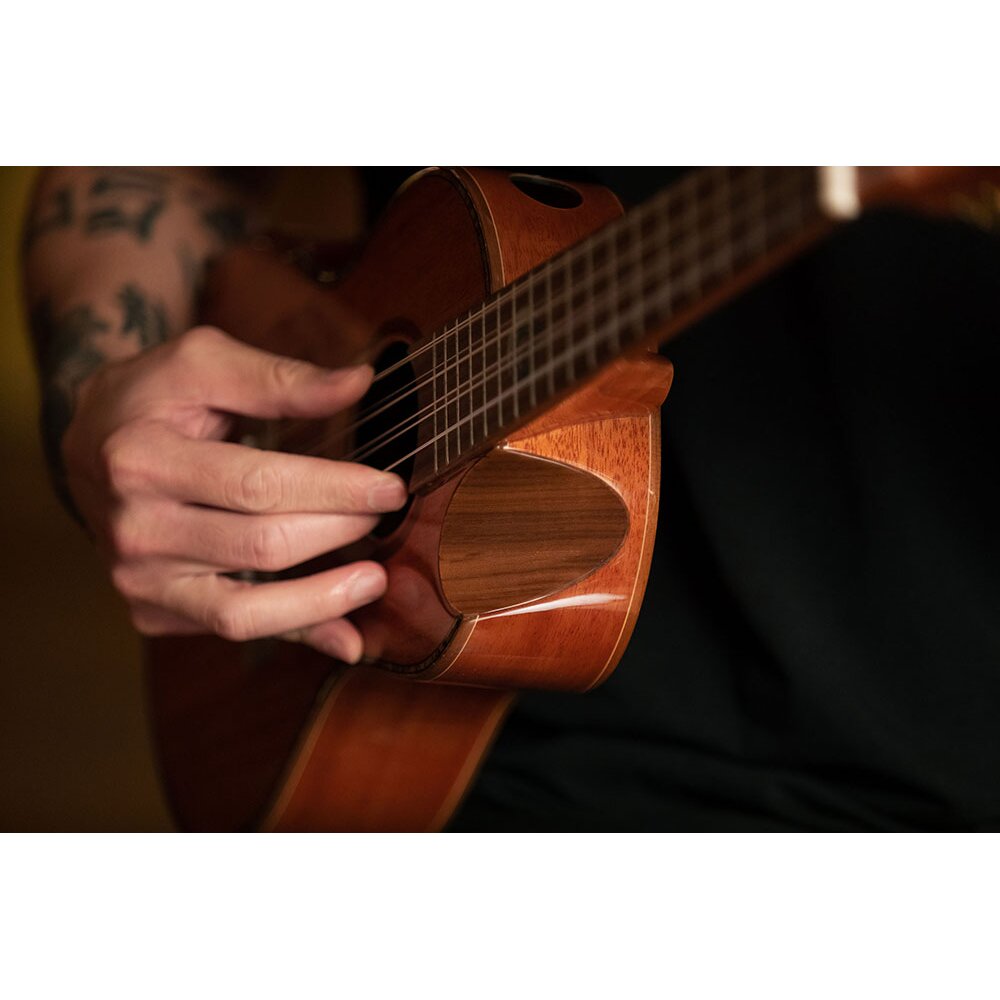 ECLIPSE-TE8 - Home - Ortega Guitars