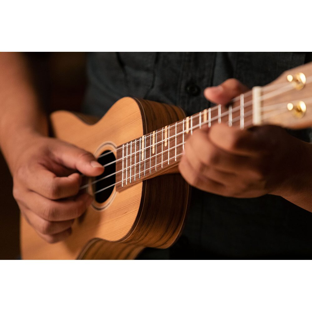 RUTI-CC - Home - Ortega Guitars