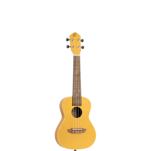 RUDAWN-CE - Home - Ortega Guitars