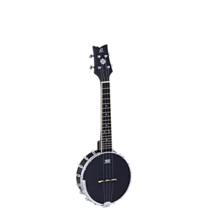 ギター Otonbo abeb1761-5a8c-4ef1-80e3-