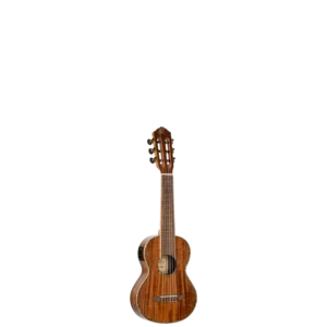 RGLE18FMH - Home - Ortega Guitars