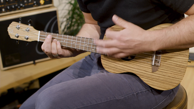 Concert Size Ukulele Zebrawood Natural video
