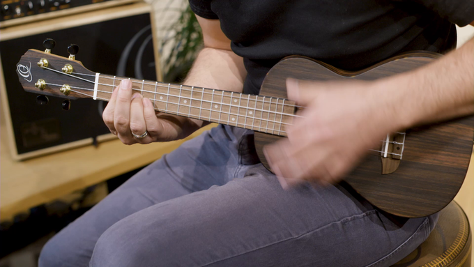 Concert Size Ukulele Ebony Natural video