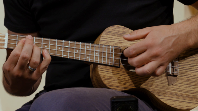 Concert Size Ukulele Zebrawood Natural video