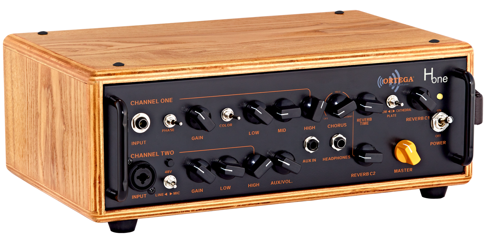 Acoustic deals amp head